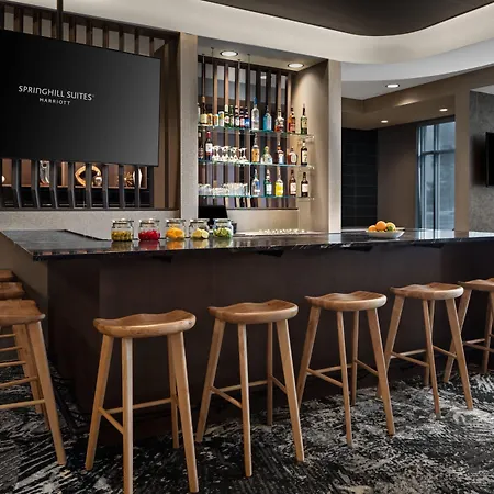 Springhill Suites By Marriott Kalamazoo Portage-3