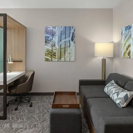 Springhill Suites By Marriott Kalamazoo Portage-2
