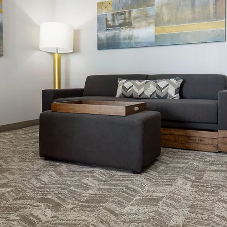 Springhill Suites By Marriott Pleasanton-3