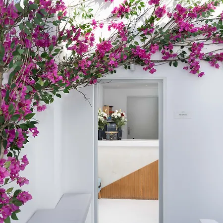 Cycladic Suites & Spa-2