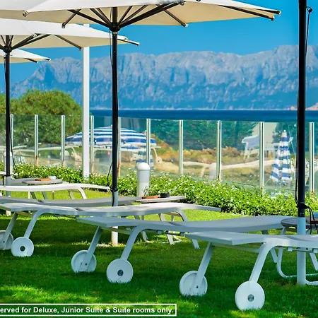 The Pelican Beach Resort & Spa - Adults Only-2