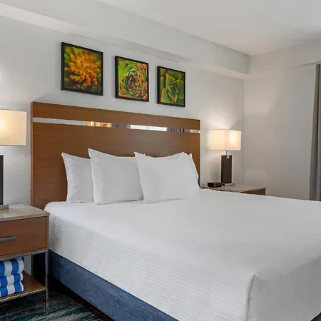 Desert Rose Resort-3
