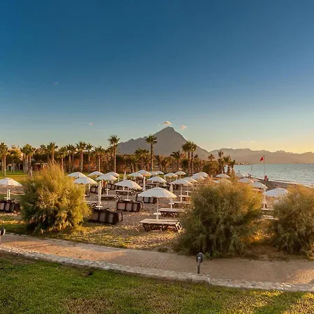 Acacia Resort-2