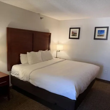 Comfort Inn & Suites Phoenix North - Deer Valley-2