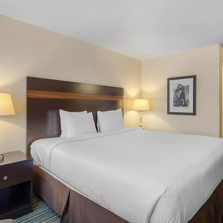 Best Western Alderwood-2