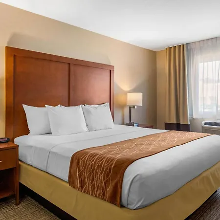 Comfort Inn & Suites Murrieta Temecula Wine Country-2