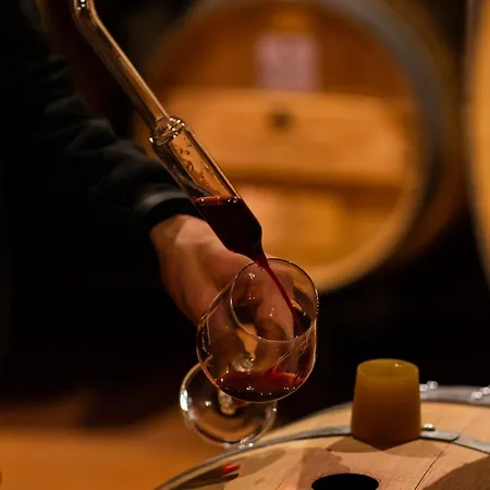 La Collina dei Ciliegi Wine Resort&Restaurant Verona-3