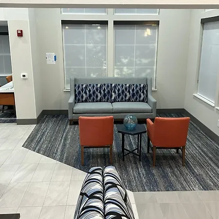 Holiday Inn Express Hotel & Suites Manteca By Ihg-3