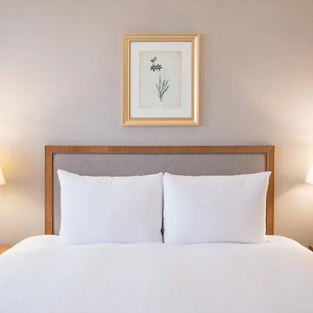 Mayfield Hotel Seoul-3