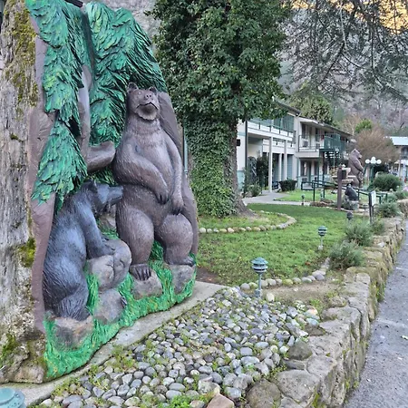 Cedar Lodge-3