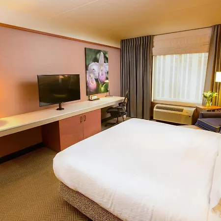 Hilton Garden Inn Rochester Downtown-3
