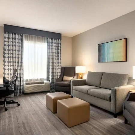 Hilton Garden Inn Fort Myers Airport/Fgcu-3