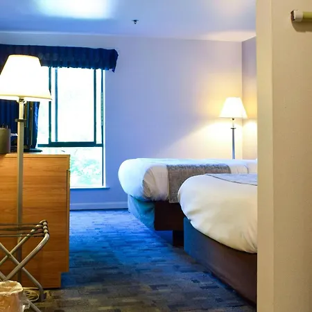 Comfort Inn Bellingham-3