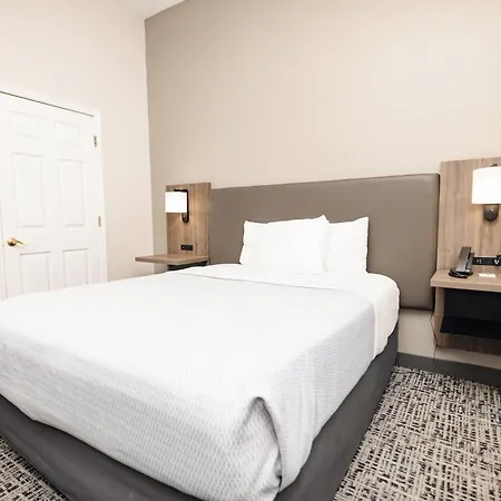 La Quinta By Wyndham Tampa Central-2