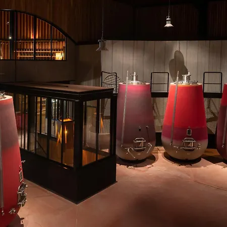 Hôtel de Castigno - Wine Hotel&Resort-3