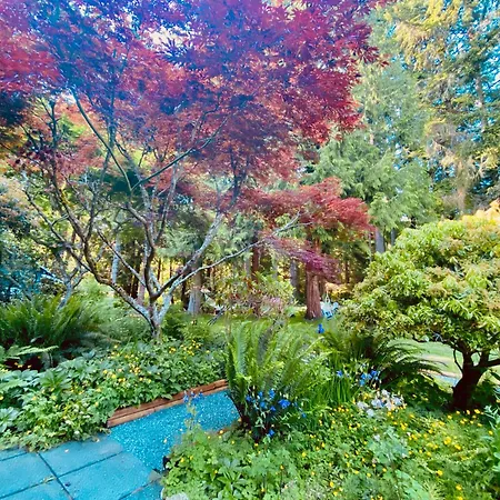 Ocean Wilderness Inn-3