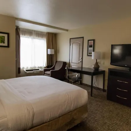 Comfort Inn & Suites San Bernardino-3