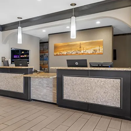 Best Western South Plains Inn & Suites-2