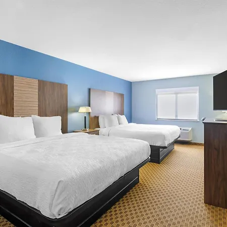 Best Western South Plains Inn & Suites-3