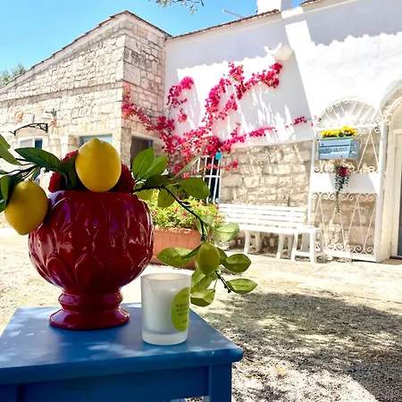 B&B Mirella-3