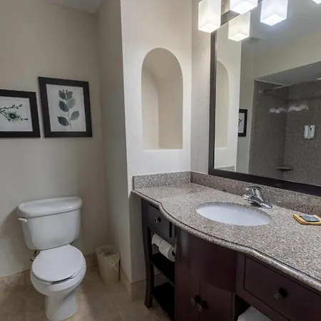 Country Inn & Suites By Radisson, St Petersburg - Clearwater, Fl-3