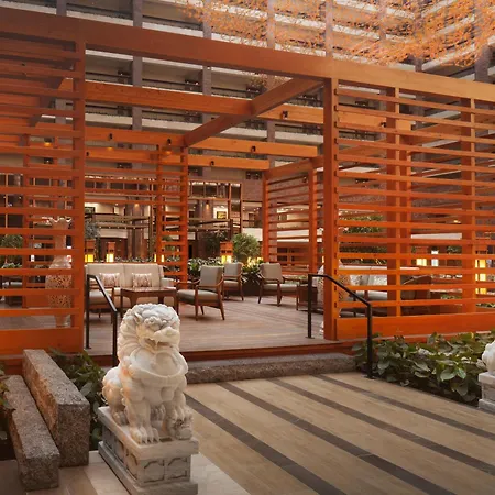 Hilton Anatole-2