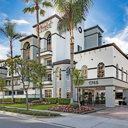 Peacock Suites-3