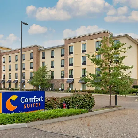 Comfort Suites Hartville-North Canton-3