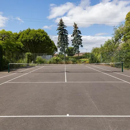 Upper Court-3