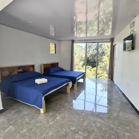Hotel Monte Campana Heredia-3