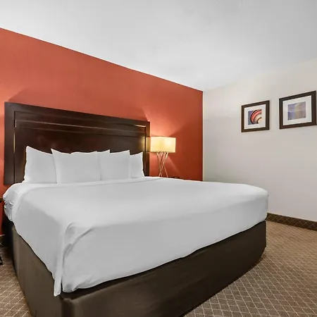 Comfort Inn & Suites Airport South-3