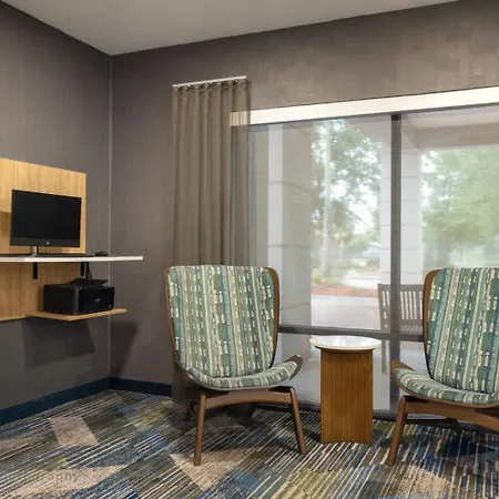 Springhill Suites By Marriott - Tampa Brandon-3