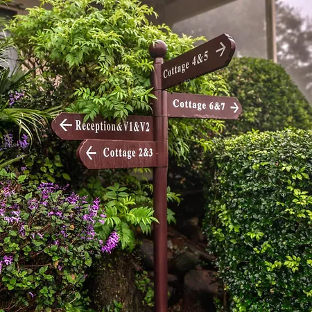 Maleny Terrace Cottages-2