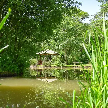Notter Bridge Holiday Park-3