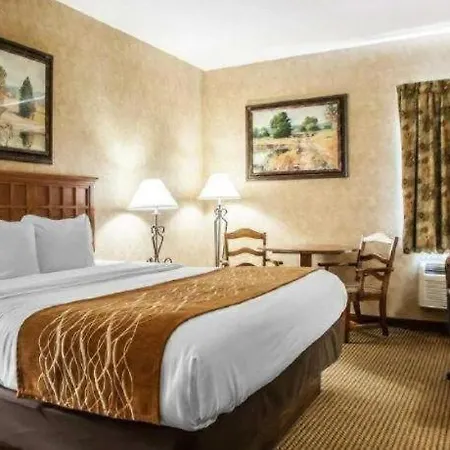 Comfort Inn & Suites Macon-2
