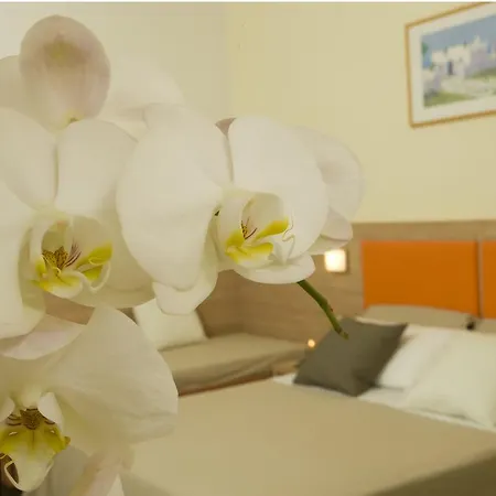 Hotel Consuelo-3