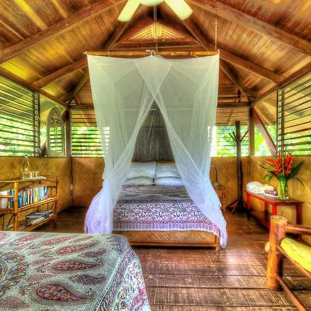 Iguana Lodge Beach Resort-3