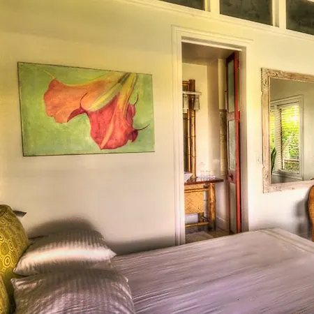 Iguana Lodge Beach Resort-2