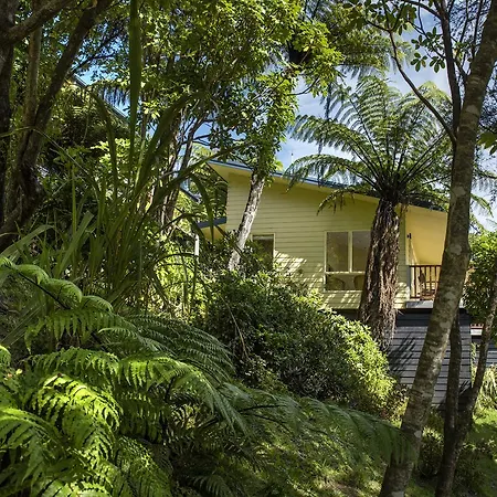 Punga Cove Resort-2