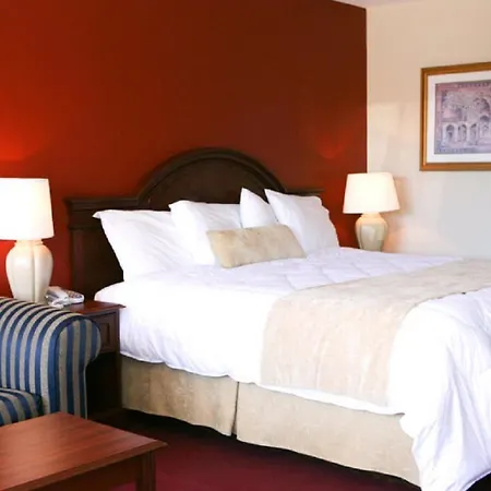 Saxony Motel-3