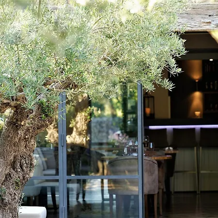 Domaine la Pierre Blanche-2