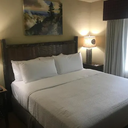 The Appy Lodge-3