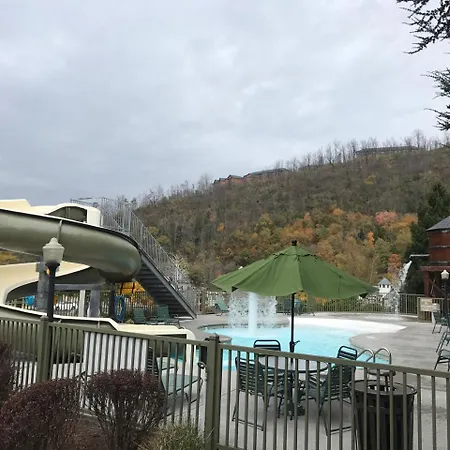 The Appy Lodge-2