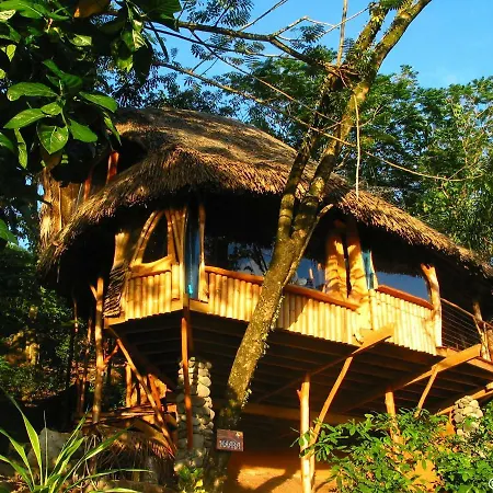 Vanira Lodge-2