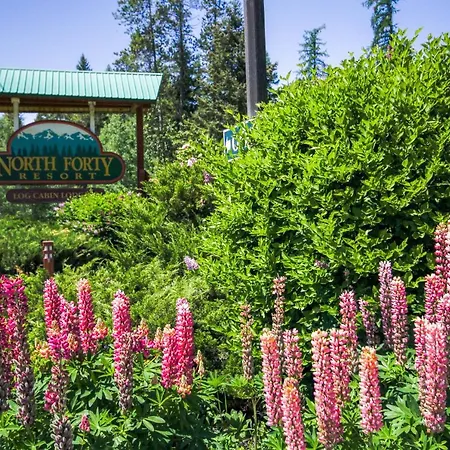 North Forty Resort-3