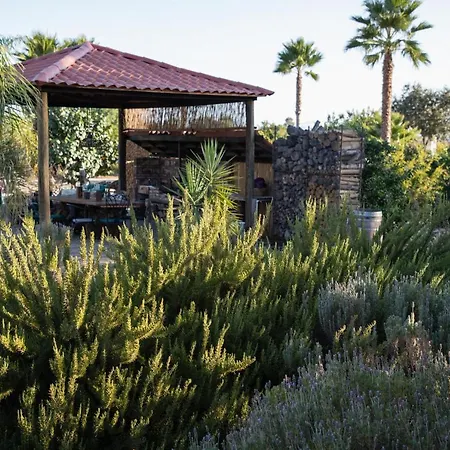 Terra Del Valle Bed & Breakfast-2