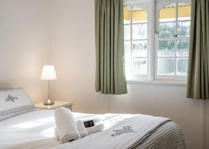 Chestnut Tree Holiday Units Bright