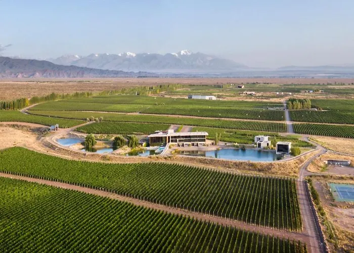 Casa De Uco Vineyards And Wine Resort