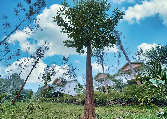 Jungle Bay Resorts & Spa Wayanad