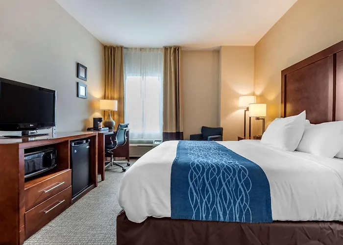 Comfort Inn Apalachin - Binghamton W Route 17